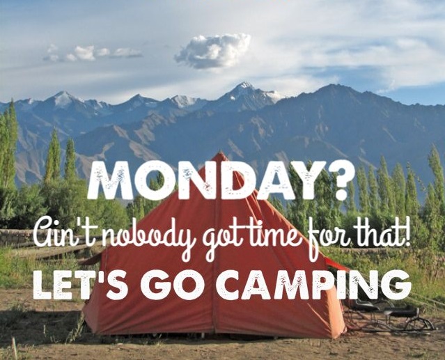 MemeMonday 15.08 (1)